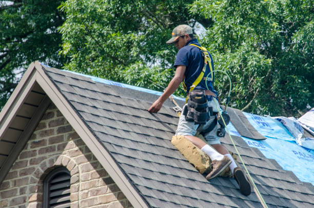 Best Emergency Roof Repair  in Kilauea, HI